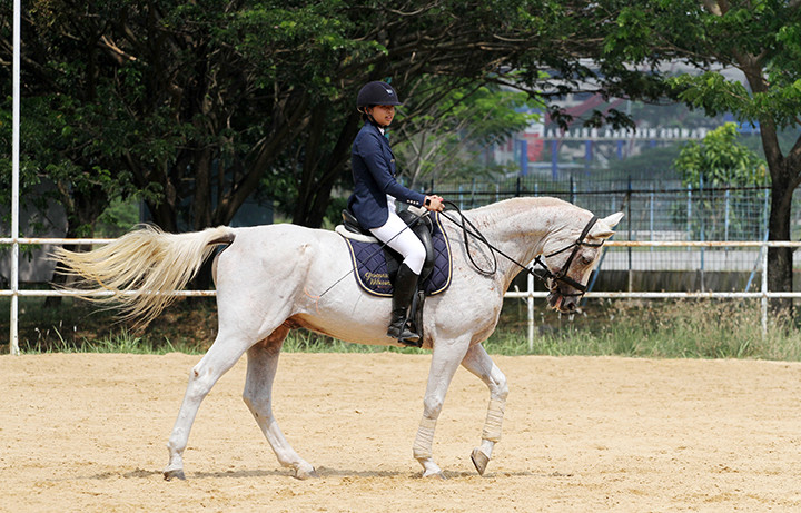 Pandesa Riding School